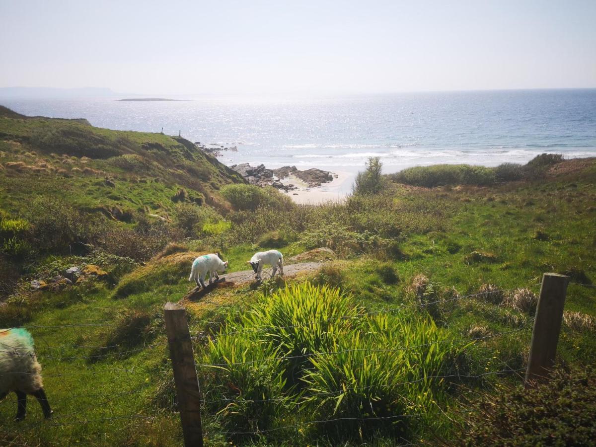 Anne'S Thatched Cottage Kilcar Экстерьер фото